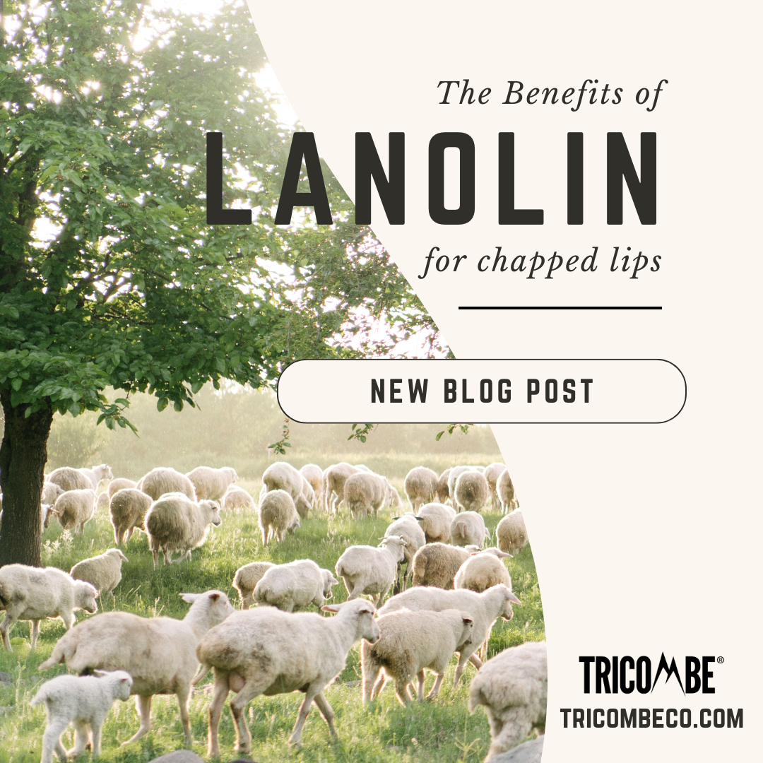 The Benefits of Lanolin for Chapped Lips Co.