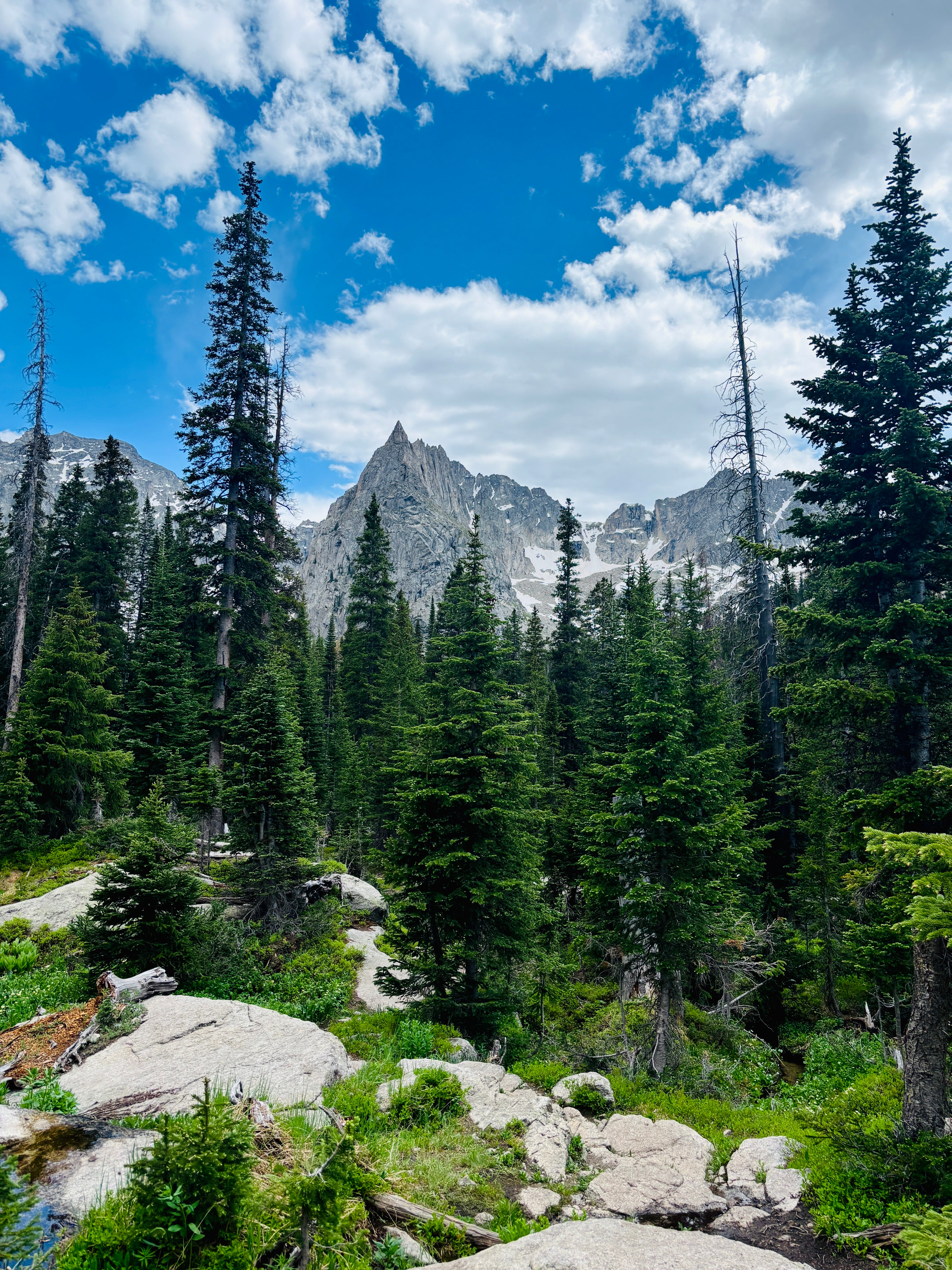 Scenic view of mountains and trees with a clear blue sky