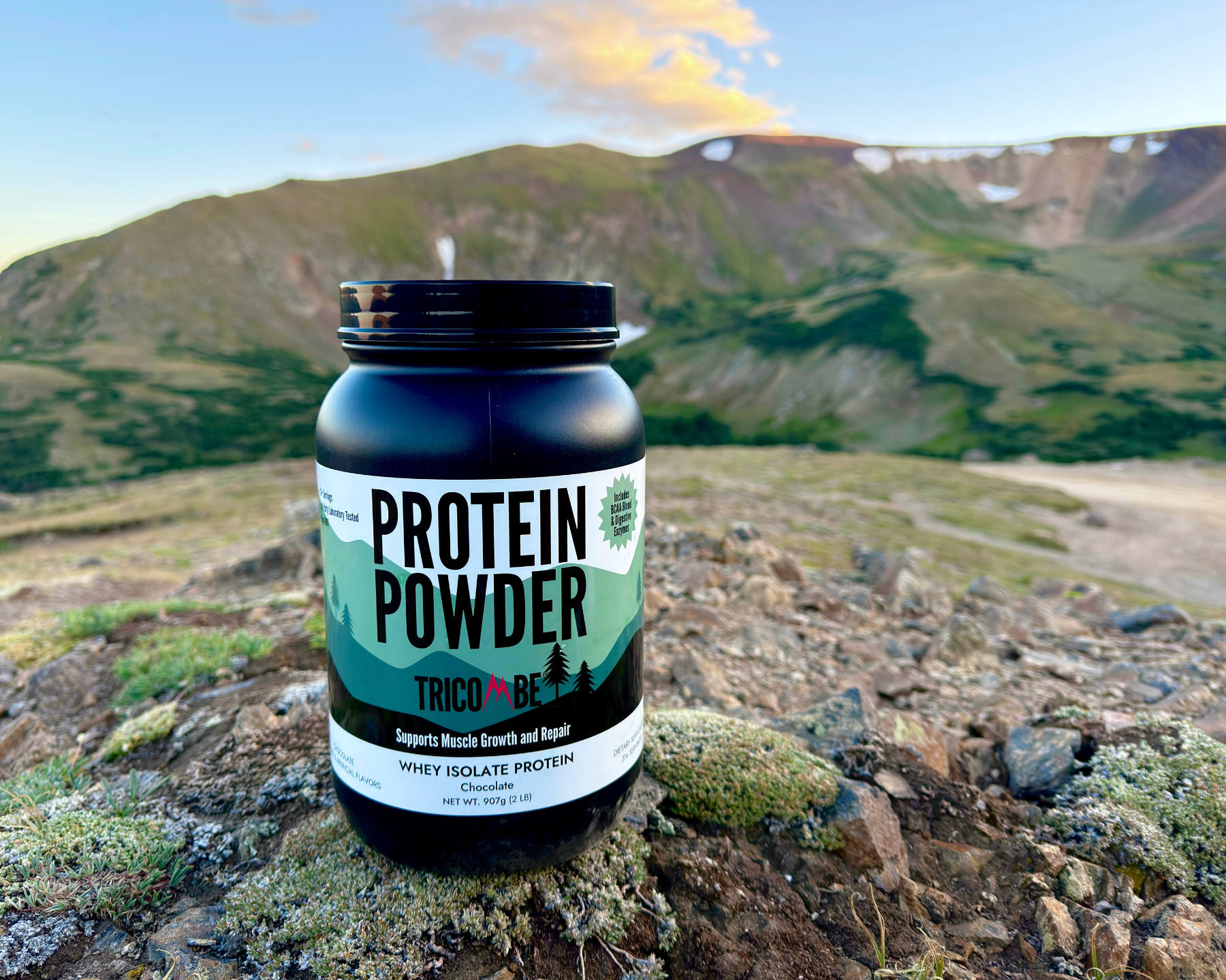 Whey Isolate Protein Supplement (907g, 2lb)